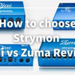 strymon-ojai-vs-zuma-review