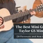 Taylor-GS-Mini-Review