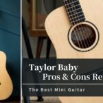 taylor-baby-review