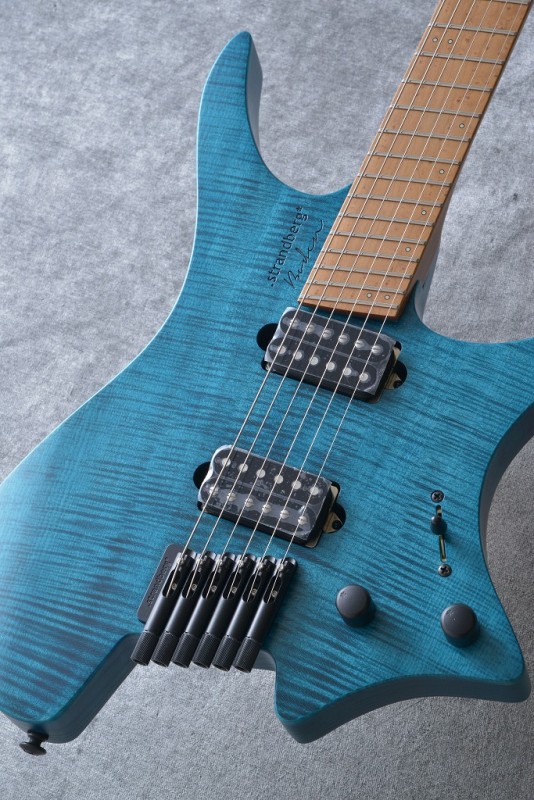 Strandberg Boden Classic 8 (改造あり) - 器材