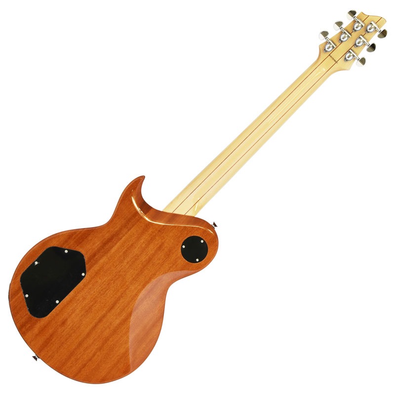 AriaPro2 PE-480 レビュー│楽器屋店員yoshguitarブログ