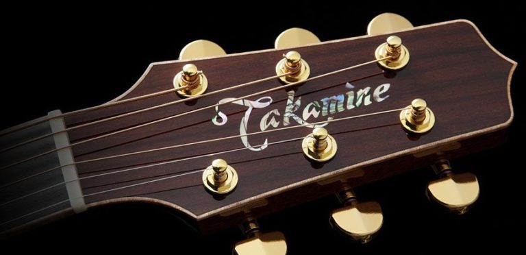 人気提案 タカミネ アコースティックギター elipd.org