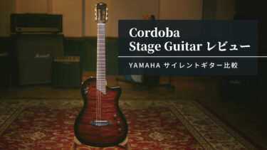 アコギ用の弓Pickaso Guitar Bow 日本への配送可│楽器屋店員 